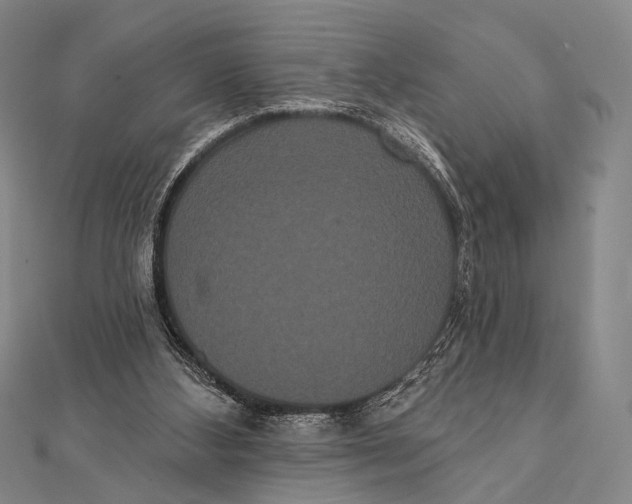 X0000112000108200908311122