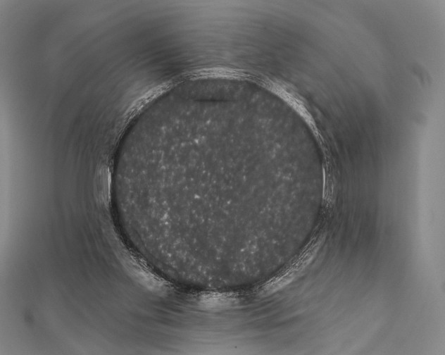 X0000112000109200908311122