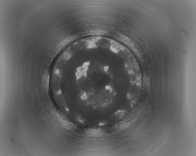 X0000112000110200908311122