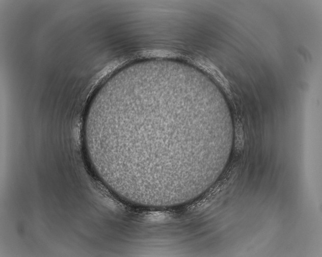 X0000112000111200908311122