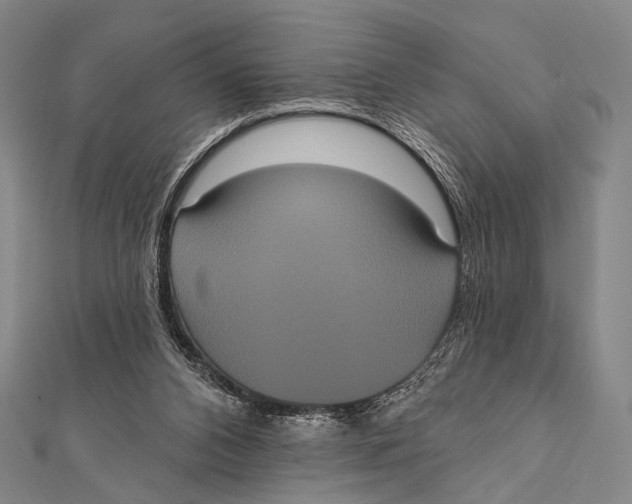 X0000112000112200908311122