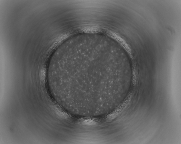 X0000112000113200908311122