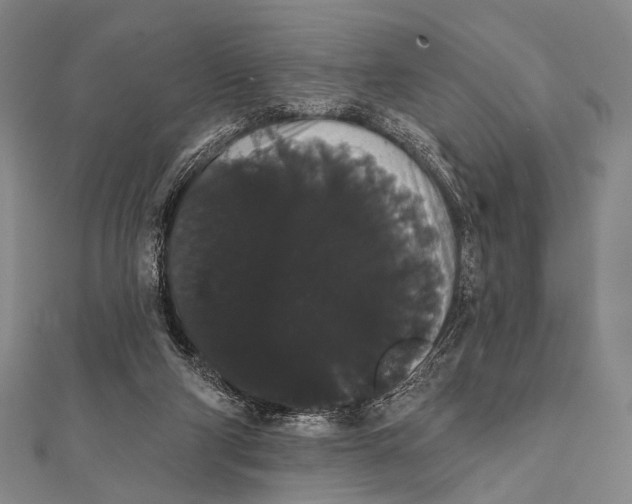 X0000112000114200908311122