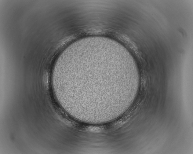 X0000112000115200908311122