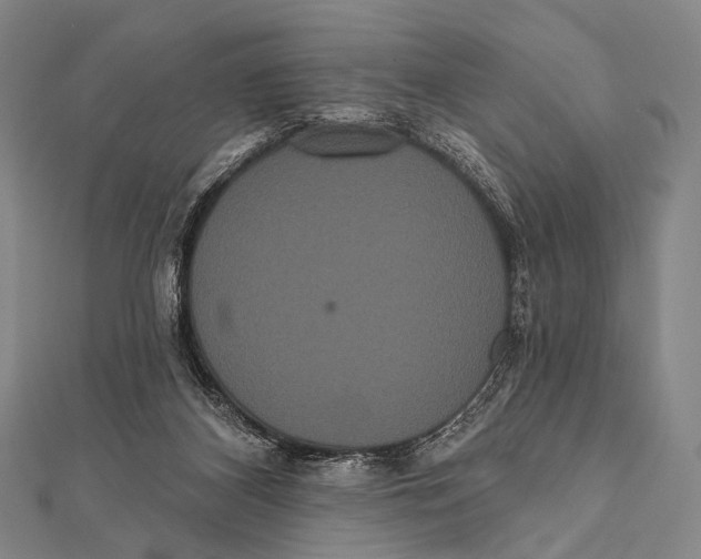 X0000112000116200908311122