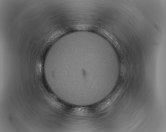 X0000112000117200908311122