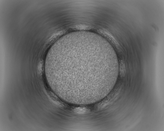 X0000112000119200908311122