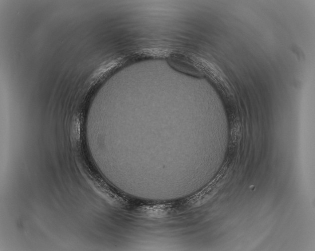 X0000112000120200908311122