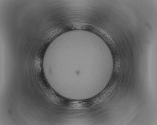 X0000112000121200908311122