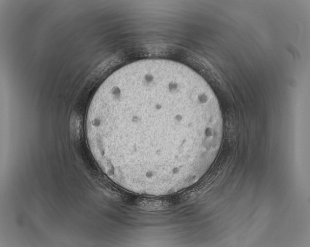 X0000112000123200908311122