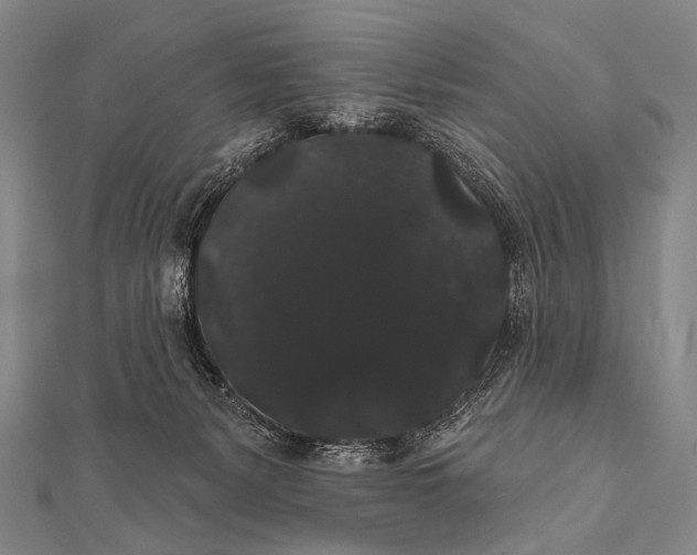 X0000112000127200908311122