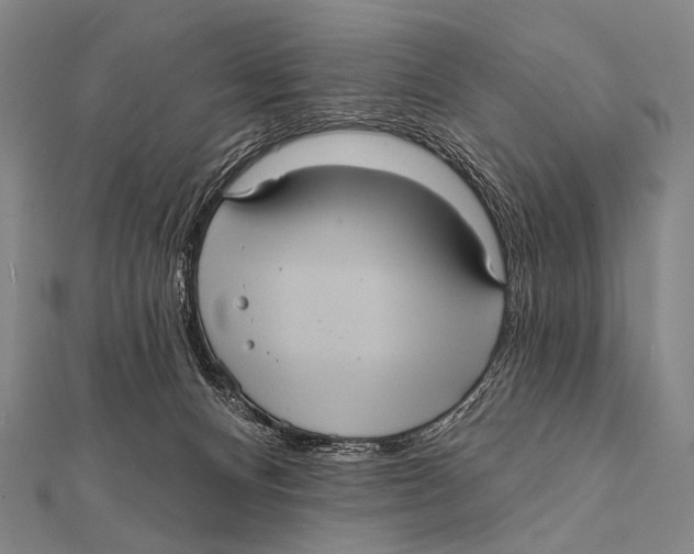 X0000112000128200908311122