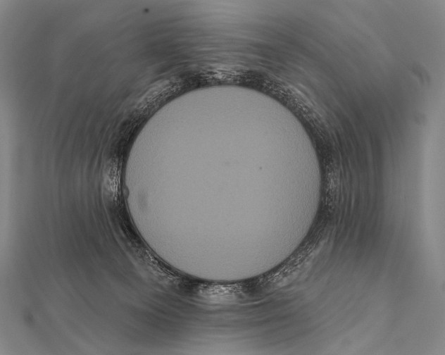 X0000112000129200908311122