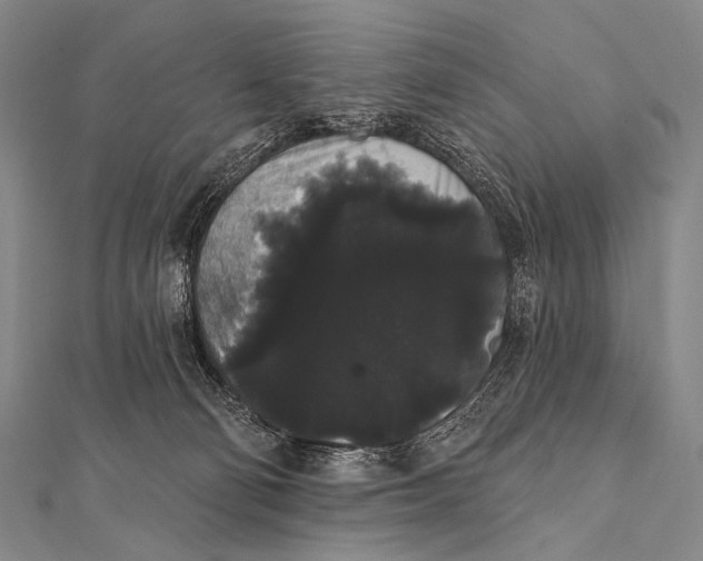 X0000112000130200908311122