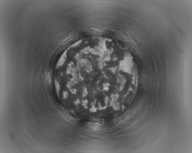 X0000112000131200908311122