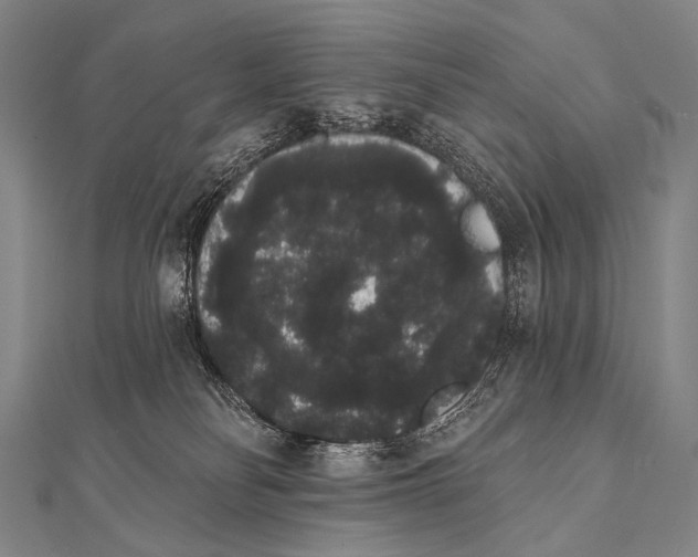 X0000112000134200908311122