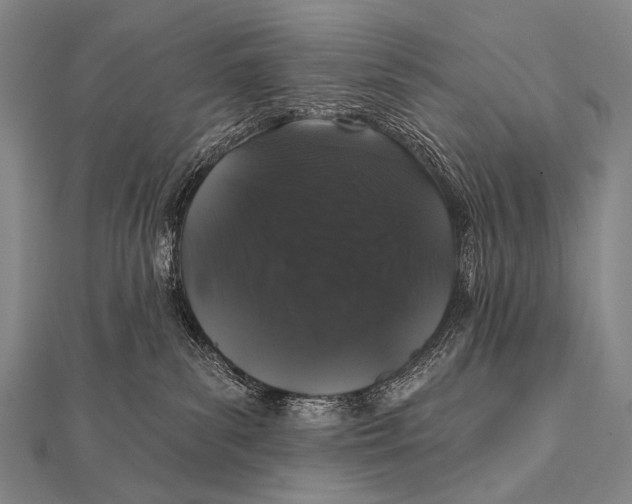 X0000112000139200908311122