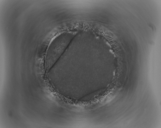 X0000112000144200908311122