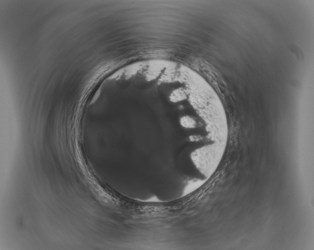 X0000112000145200908311121