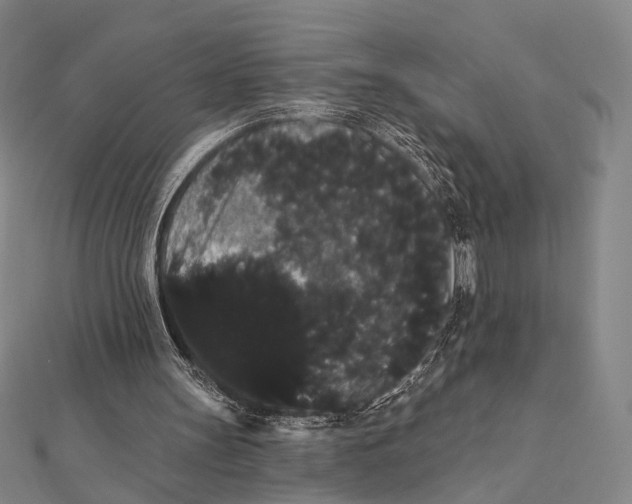 X0000112000147200908311121