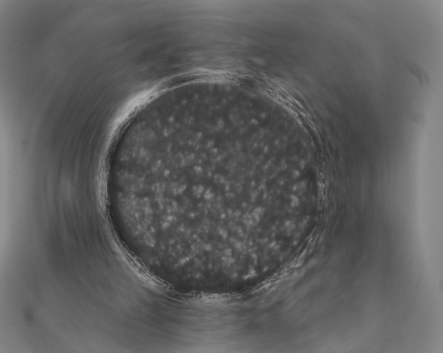 X0000112000149200908311121