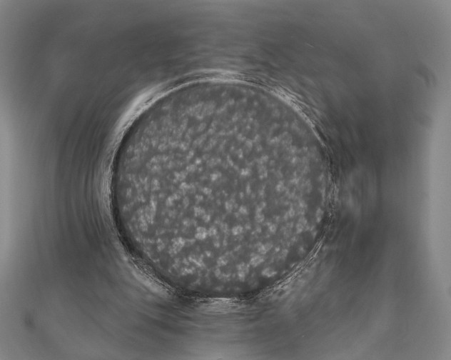 X0000112000151200908311121