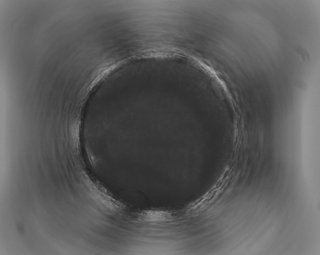 X0000112000154200908311121