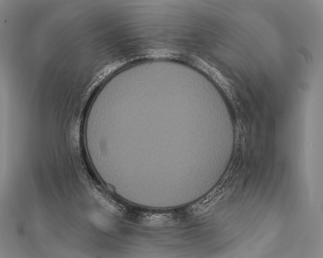 X0000112000155200908311121