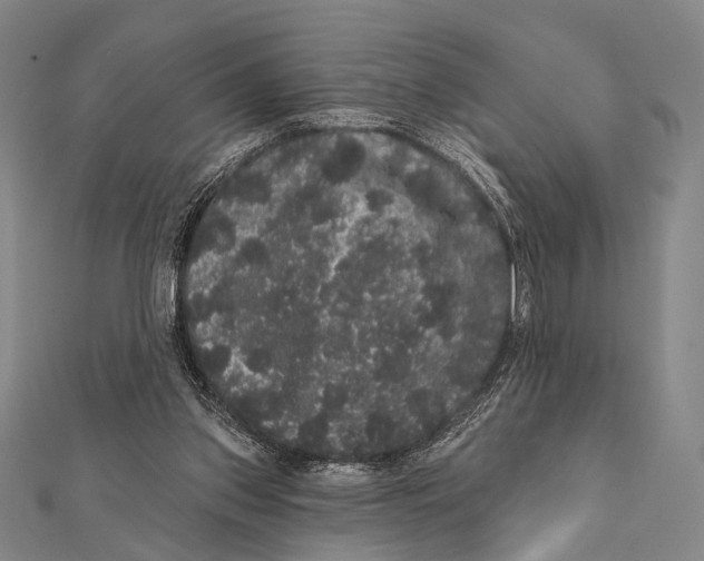 X0000112000157200908311121