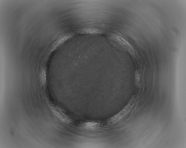 X0000112000158200908311121