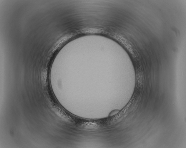 X0000112000159200908311121