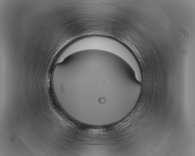 X0000112000160200908311121