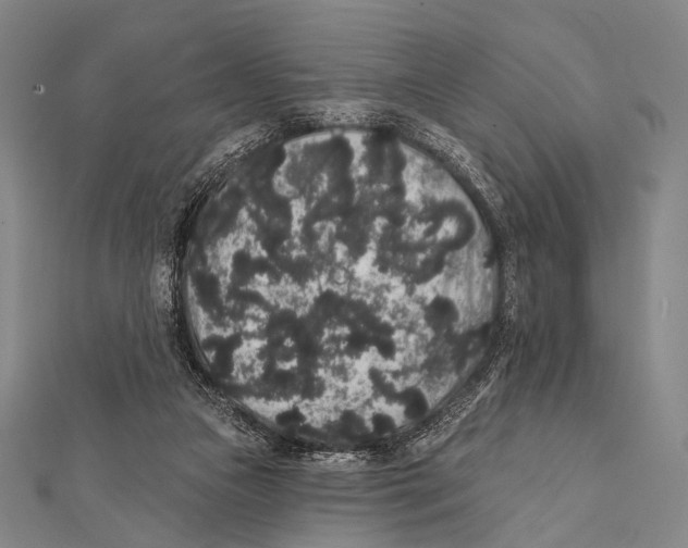 X0000112000161200908311121