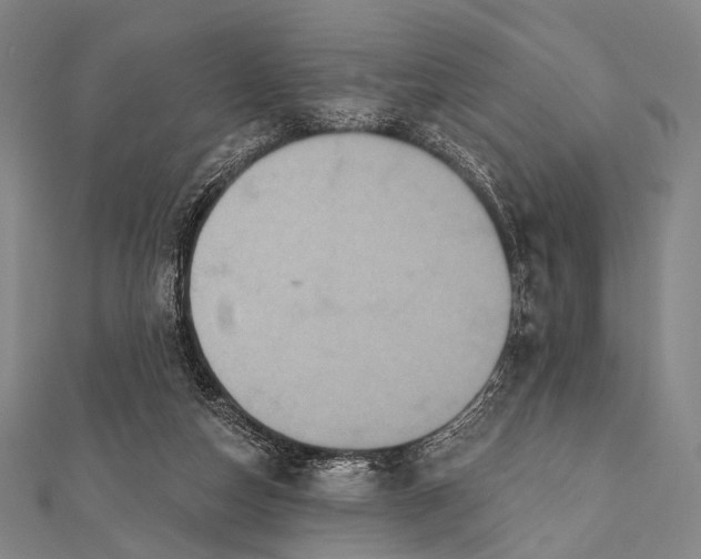 X0000112000162200908311121