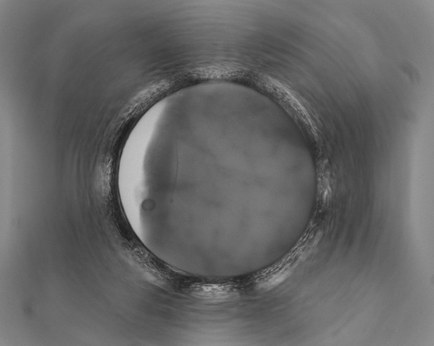 X0000112000163200908311121