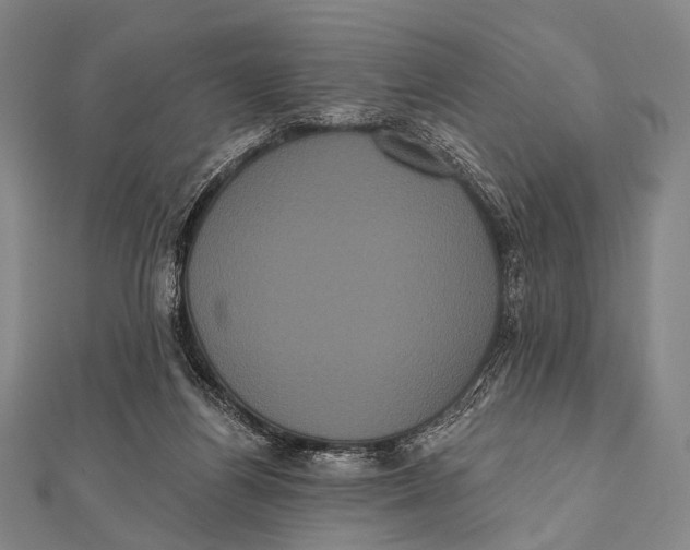 X0000112000164200908311121