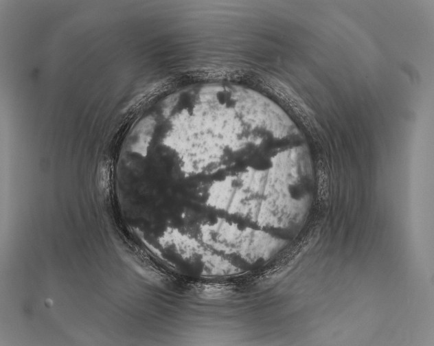 X0000112000165200908311121