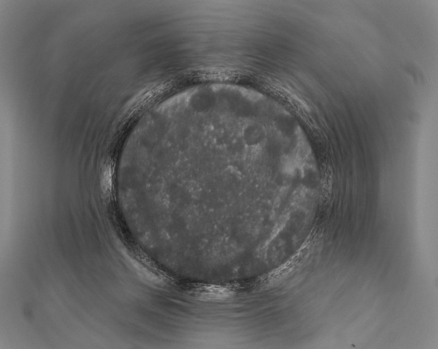 X0000112000166200908311121