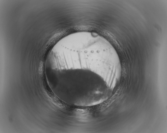 X0000112000167200908311121