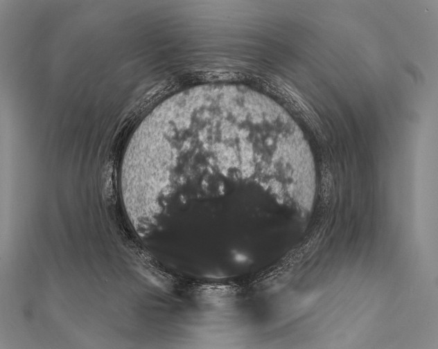 X0000112000169200908311121