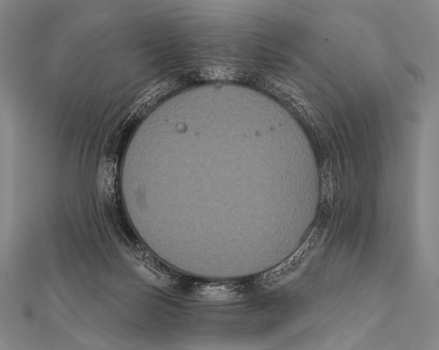 X0000112000171200908311121