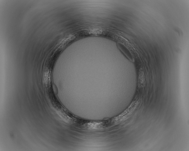 X0000112000172200908311121