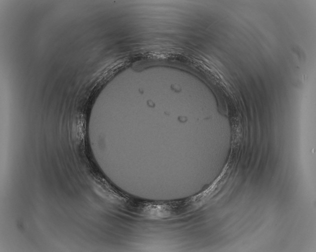 X0000112000174200908311121