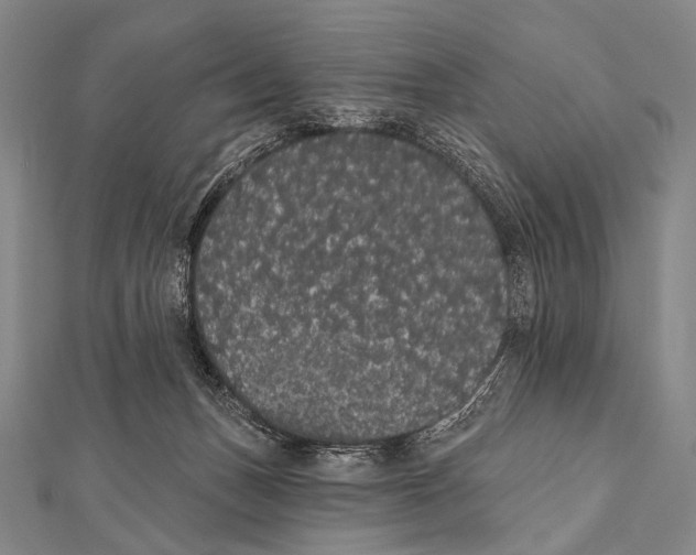 X0000112000175200908311121