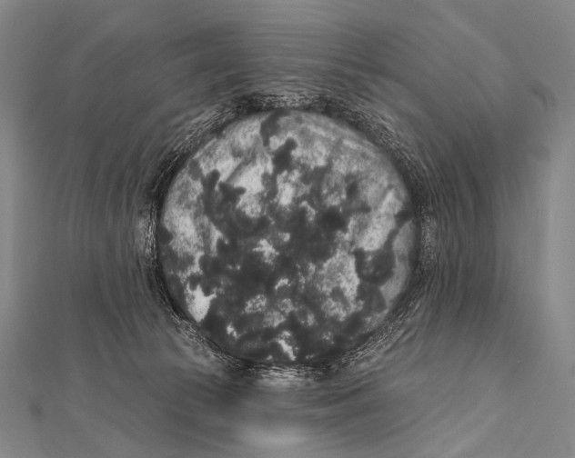 X0000112000177200908311121