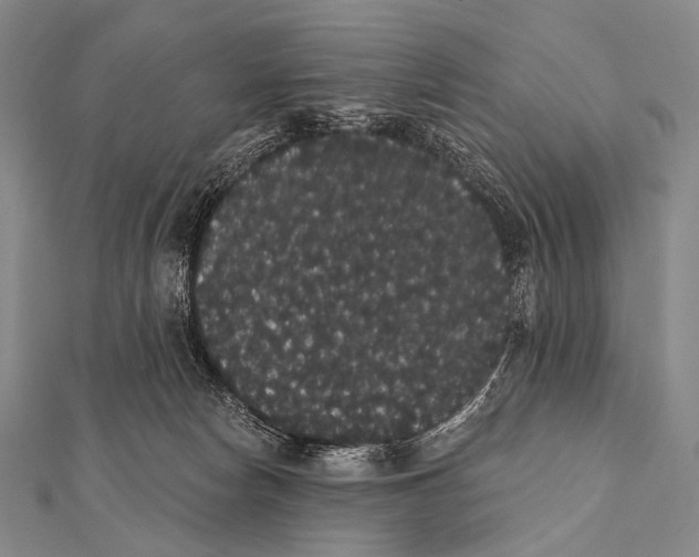 X0000112000178200908311121