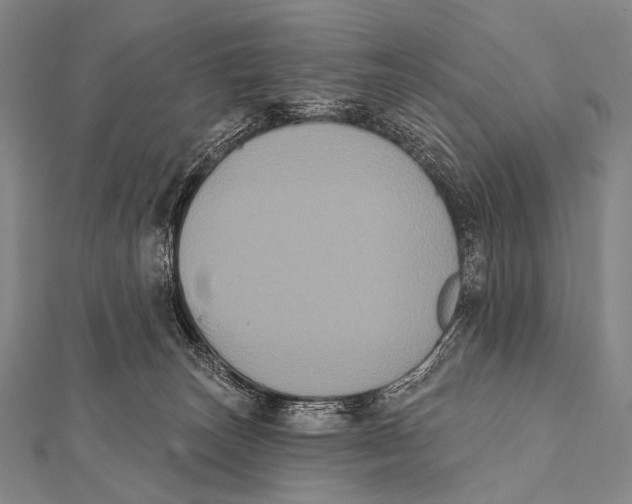 X0000112000179200908311122