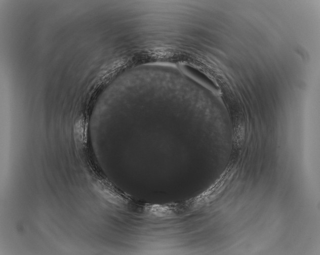 X0000112000180200908311122