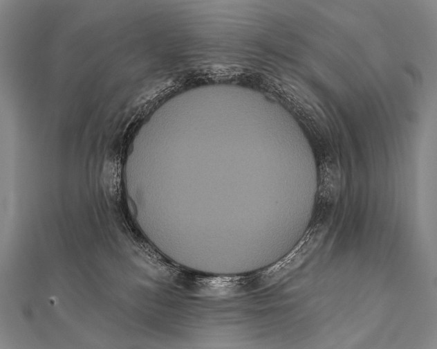 X0000112000184200908311122