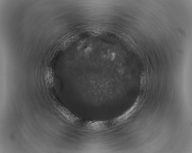 X0000112000186200908311122